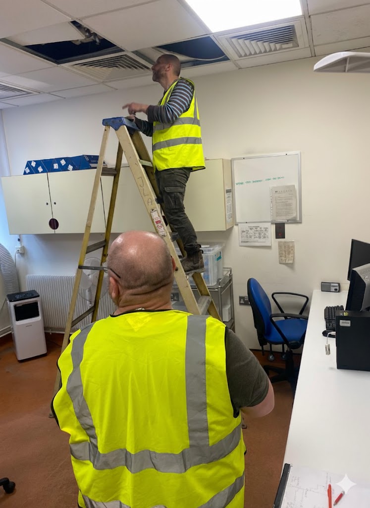 Engineering Team Member 1